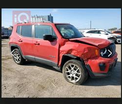 جيب رينيجيد